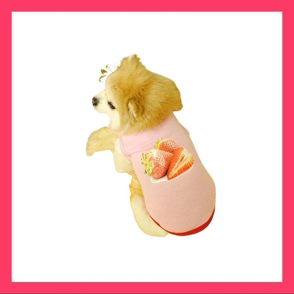 🐶🐶 2/$10; 4/$15 🐶🐶 NWT, Pink Strawberry Little Pet Tee - Picture 2 of 3